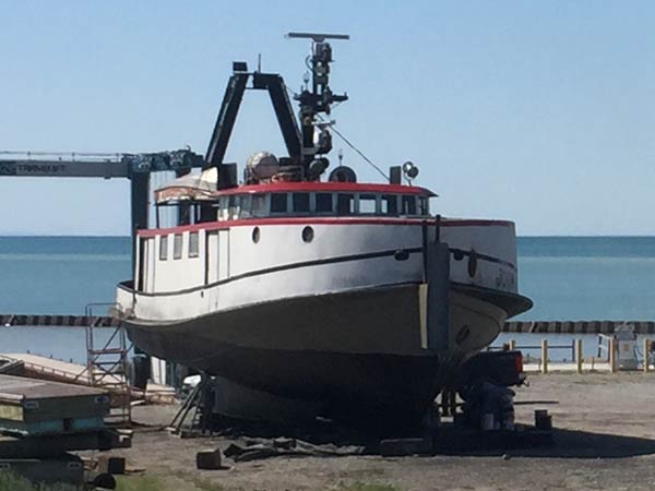 Anti-fouling Removal on Tug Boat